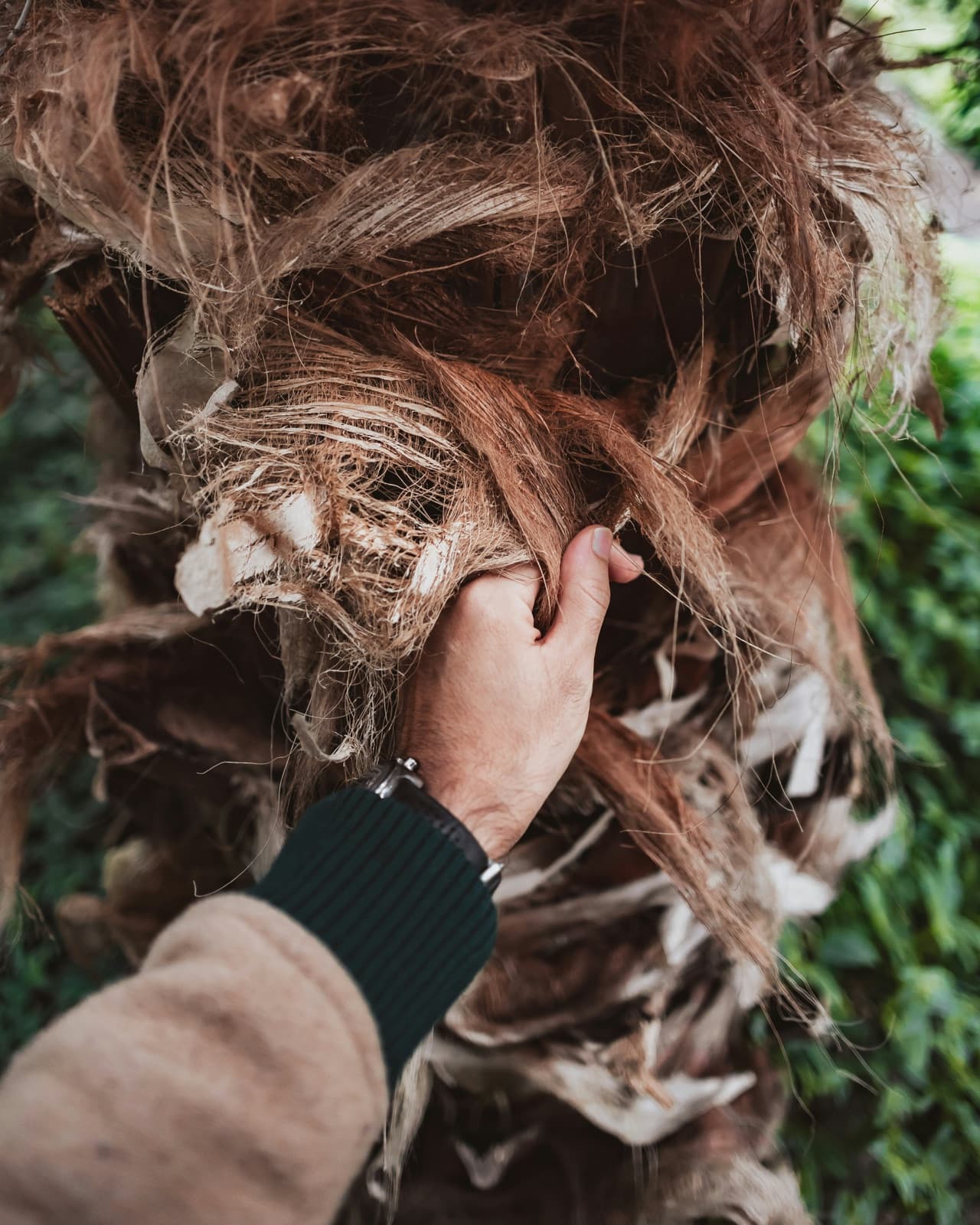 Natural plant fibres being sorted by hand